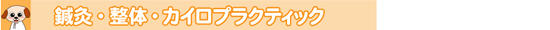 鍼灸・整体・カイロプラクティック