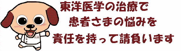�I�� �����@ ���c�{�_�C�G�b�g �����s �x�n�r�`�@��������� �J�C�� ���� �p�����́@���Ջ���